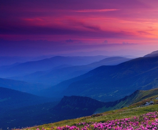 粉象生活安全可靠吗