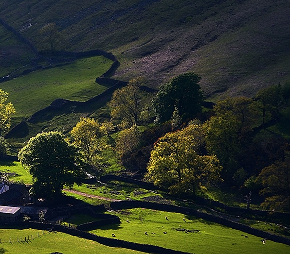 粉象生活加油怎么操作