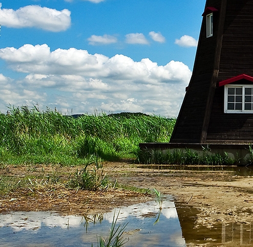 淘客评价粉是什么情况