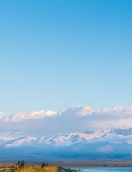 粉象生活app分享报告