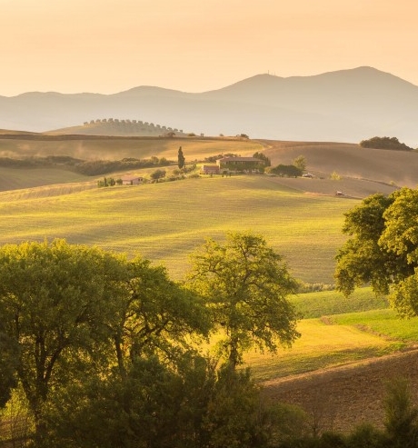 粉象生活客服是干什么的