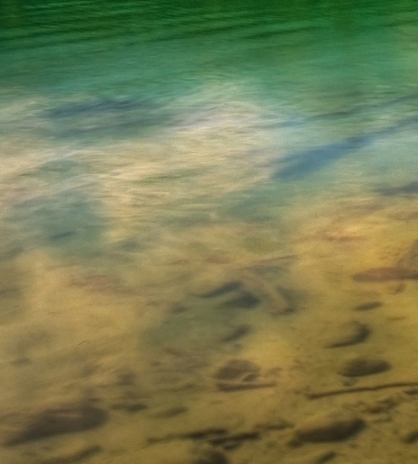 粉象生活邀请码