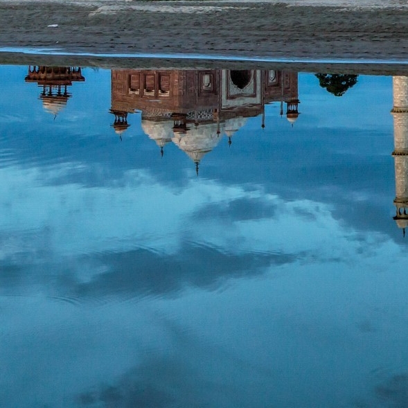 粉象生活是干嘛的