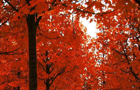 粉象生活怎么找到用户