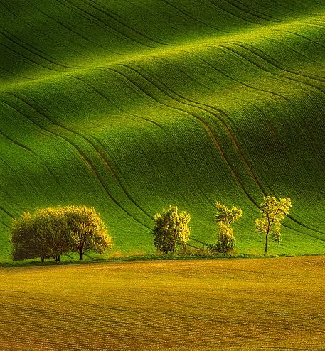 粉象399礼包靠谱吗