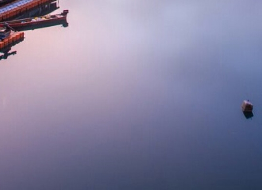 粉象生活是个什么东西