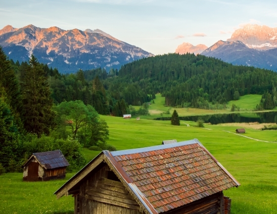 粉象生活粉丝怎么增加