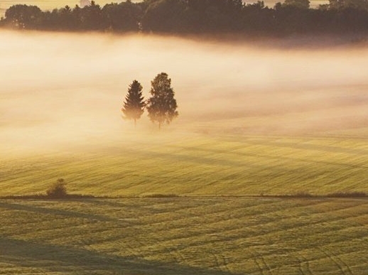 粉象生活怎样招粉丝