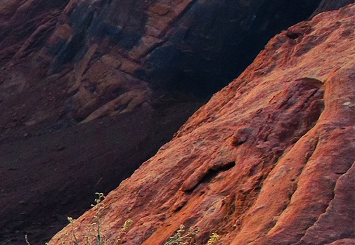 粉象生活挣钱靠谱吗