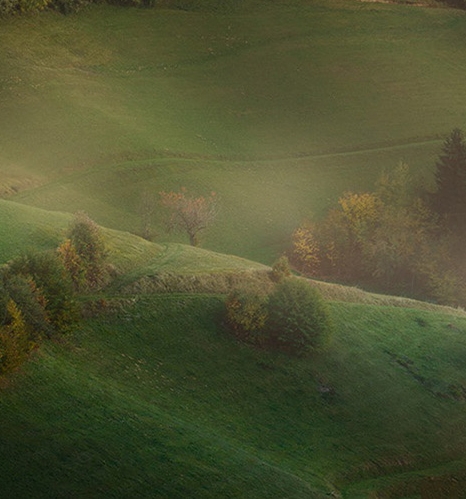 娟子粉象生活视频