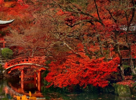 粉象生活合法吗