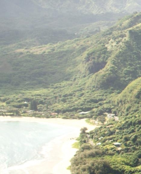 粉象电商是真是假