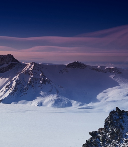 粉象生活到底能不能送水果