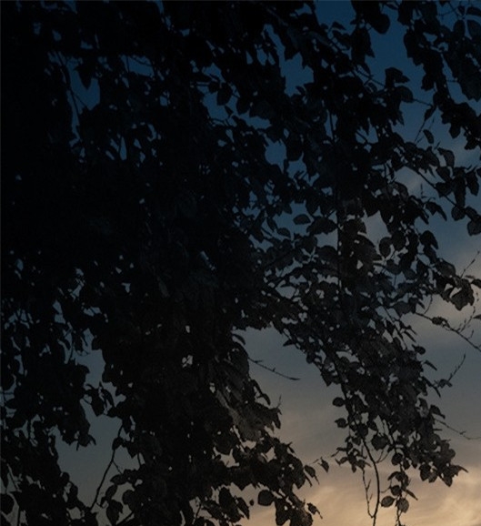 粉象生活里的自动付款