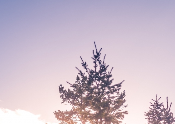 粉象生活粉丝怎么增加