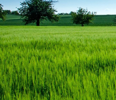 粉象生活APP怎么赚钱