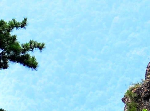 粉象生活怎么中一等奖