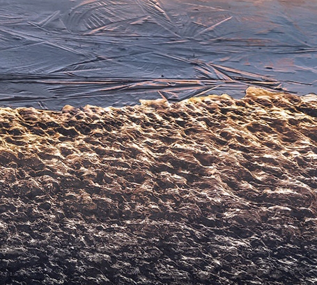 金华app粉象生活