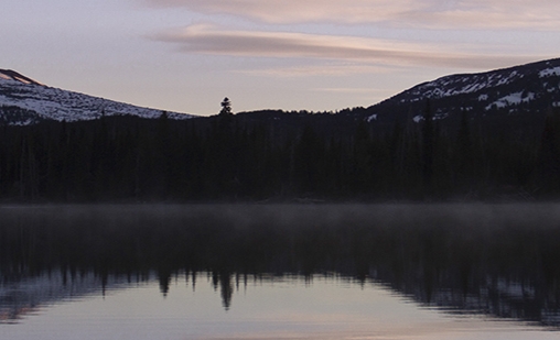河南运营粉象生活怎么样