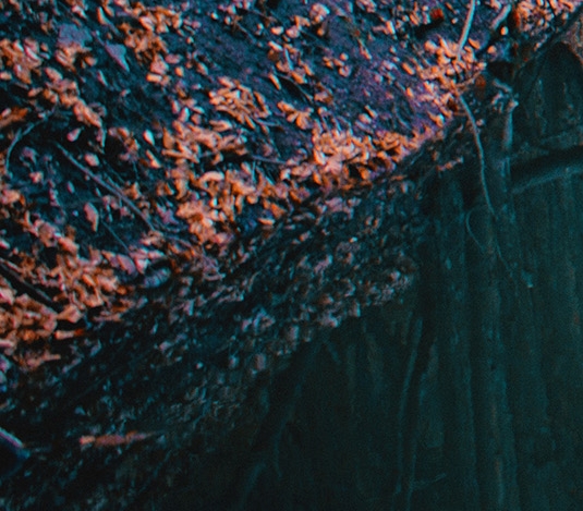 注册粉象生活有风险吗