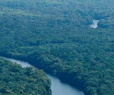淘粉吧和省钱快报哪个好用