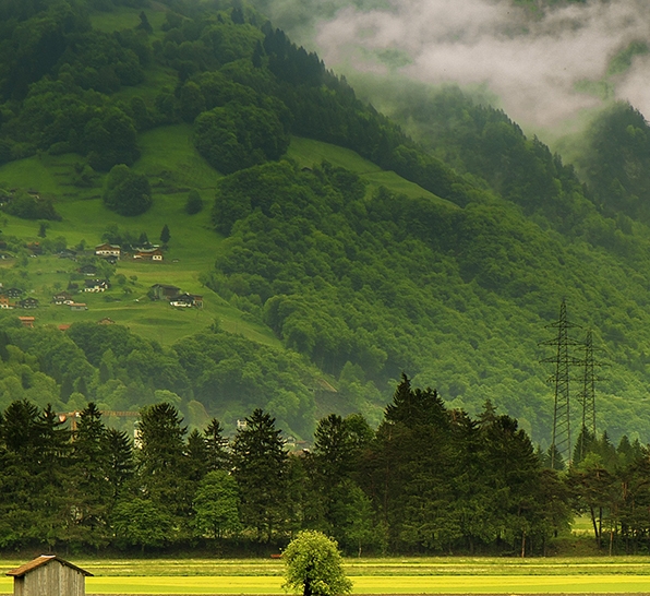 粉象生活怎么上淘宝客