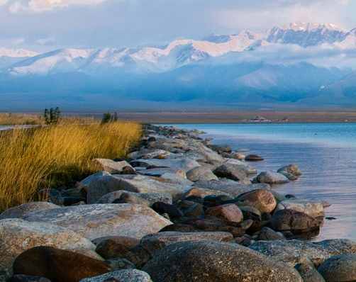 粉象生活是什么?