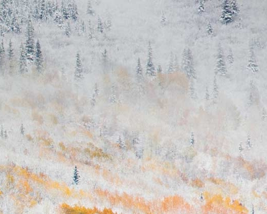 粉象生活怎么赚钱