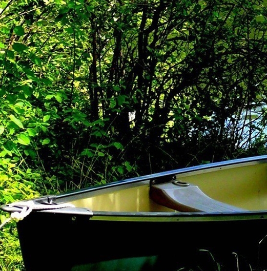 粉象生活怎么填写邀请码