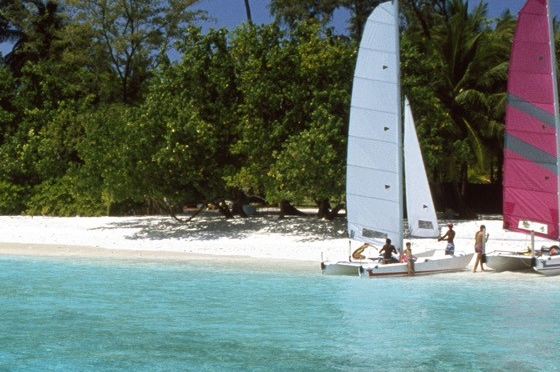 粉象生活官方APP邀请码