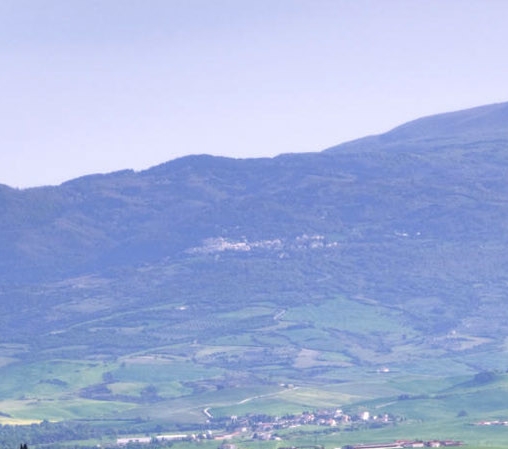 粉象生活下载app