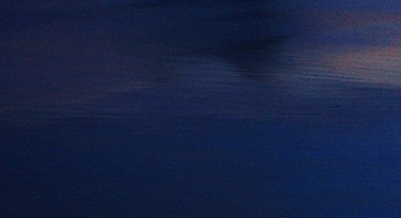 粉象生活下载app