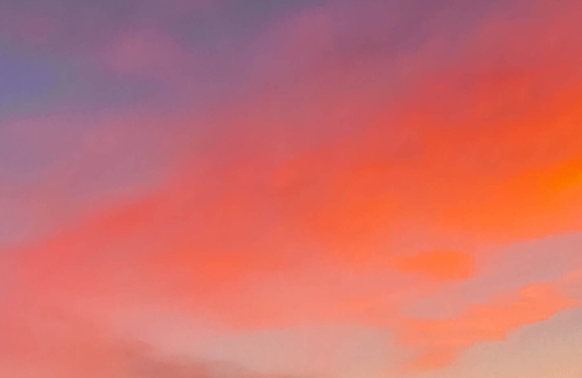 粉象生活的合伙人会降级吗