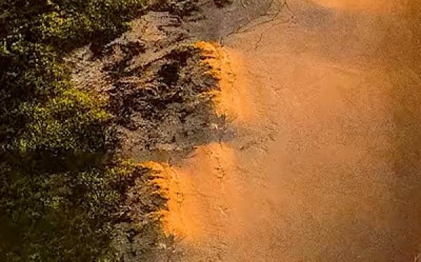 粉象为何显示可提现0