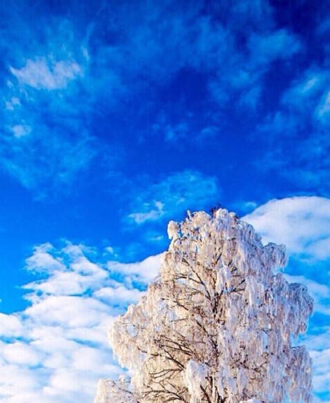 粉象生活怎么赚钱