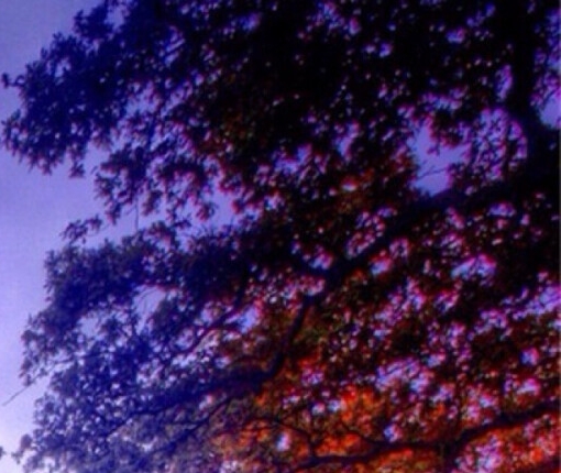 粉象生活怎么注册新号