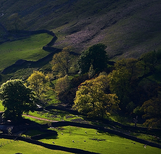 江苏一站式粉象生活推广