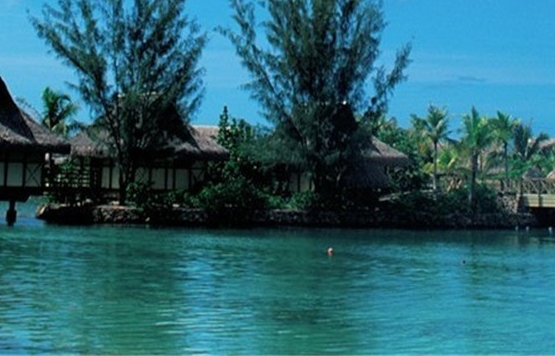 粉象生活怎么推广引流加粉丝