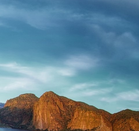 泉州脱水蒜粉代理