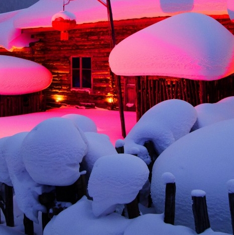 粉象生活省钱下载