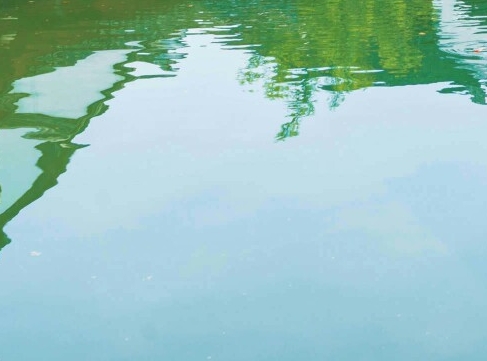 粉象生活粉丝买东西我能赚佣金吗