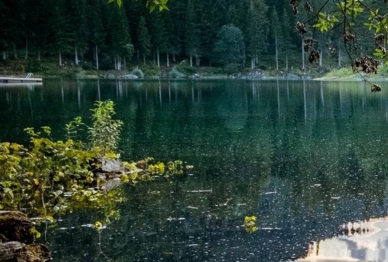 东莞粉象生活推广