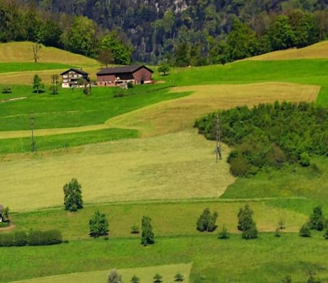 宁波文旅生活旅游年卡