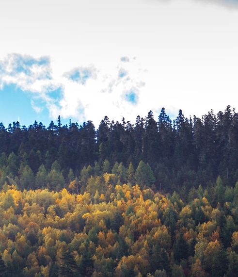 粉象生活怎样邀请客户