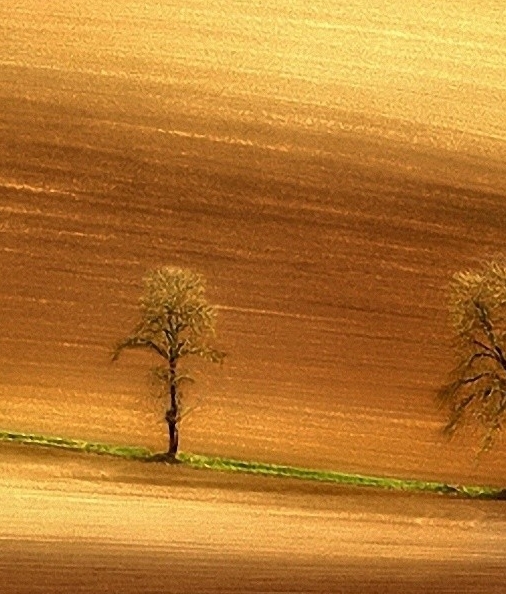 广东粉象生活赚钱