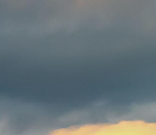 粉象生活代理分成