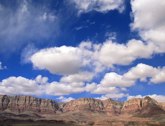 粉象生活能赚钱吗