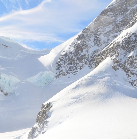 粉象生活升级后大概几天才看到收入