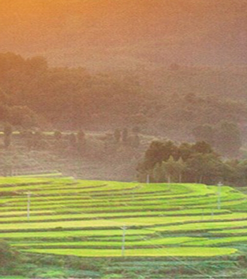 粉象生活微信群