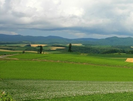 粉象生活365会员费